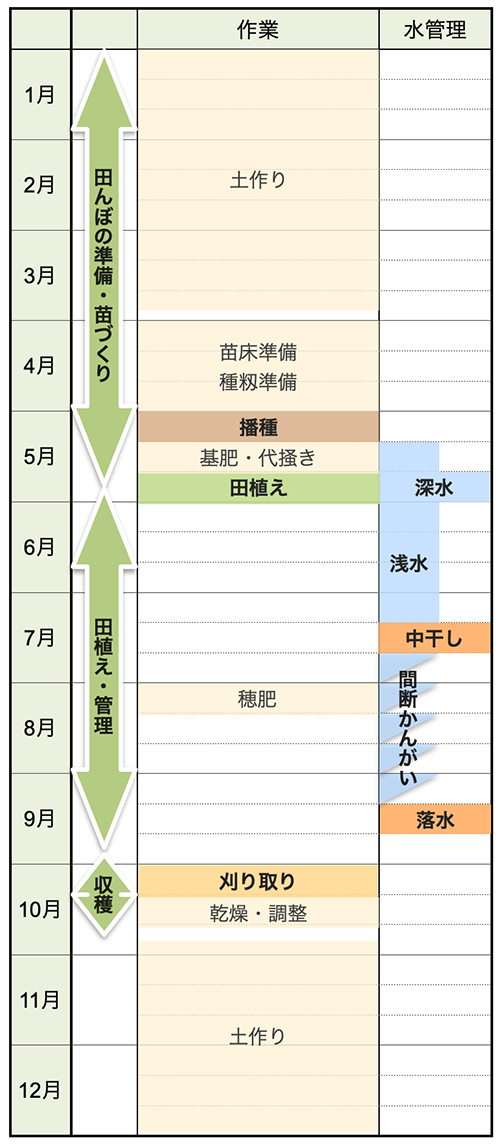 riorodasi's tweet photo. @iYqjEPn1nSjjk3q @J8RDVeyDr3vDbEo 中干しで死にます。どこの米も同じ
　ヴィーガンに嫌がらせとか言ってる人もいますが現実突きつけられただけですね。
　でも動物に優しく、最低限の選択をしたいという主張なら今知れて良かったんじゃないですかね
　それとも知らずにいれば何食ってもOKでしたか？

　もうお米食べれないねぇ…… https://t.co/LFmv48vyrB