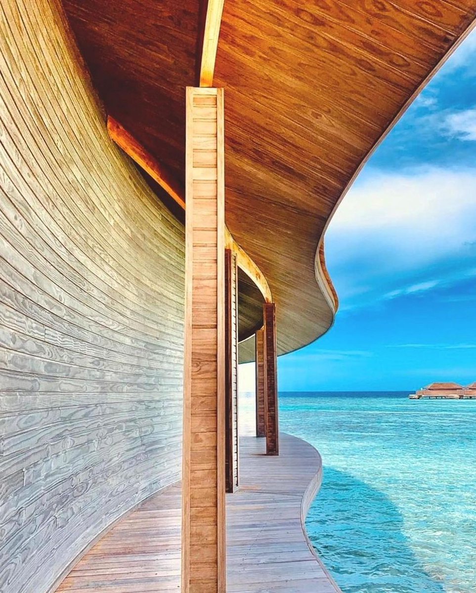 Linda Petrie tweet media