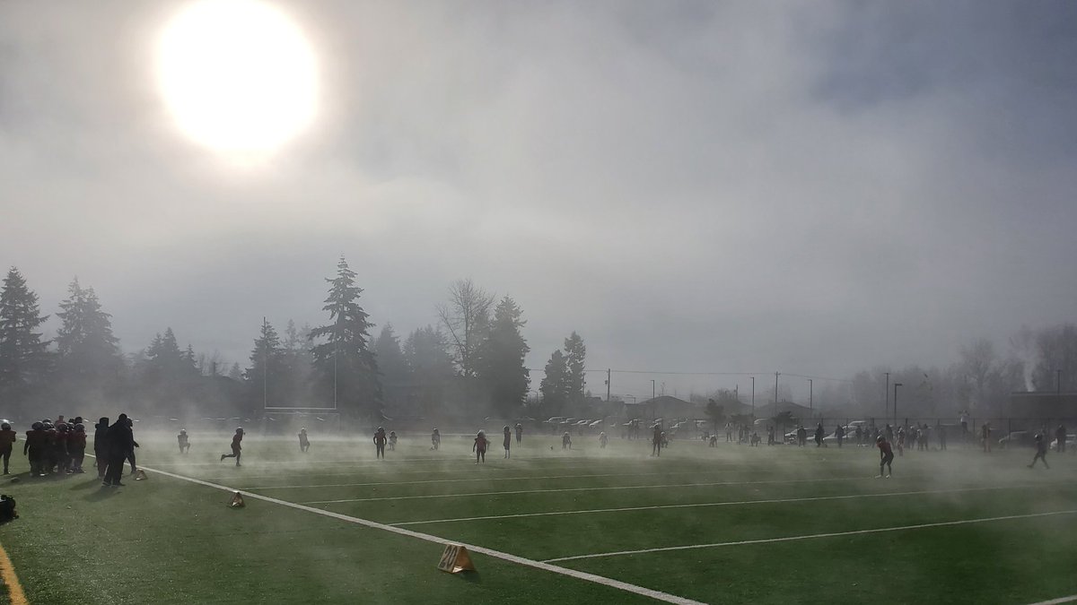 NapalmDaydream's tweet image. 🏈❤🏈