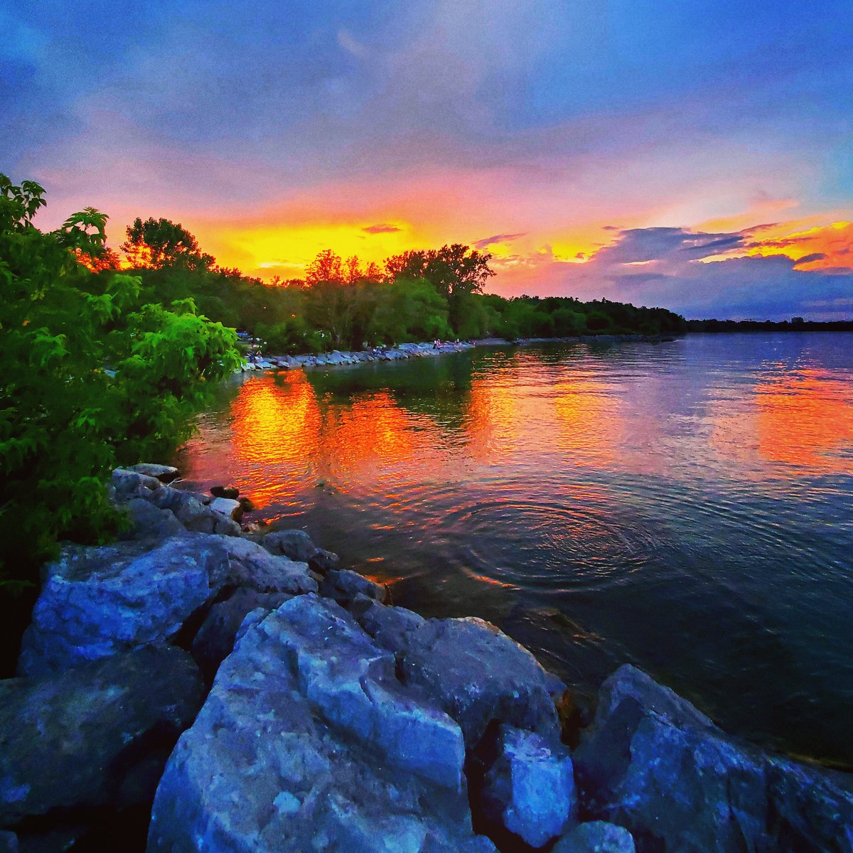 RedwanHossain2's tweet photo. For more upcoming photos follow me on instagram at redwansnatugram https://t.co/AUFB6VBNy9