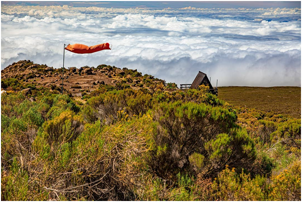 spoonbilltours's tweet photo. Kilimanjaro Over the clouds.

Second stop on the #Machame route to Kilimanjaro

#africannature #africa♥️#africanature #beautyful #tanzania #kilimanjaro #machameroute #machame #clouds #overcloud #mountains #peaks #sumit #traveltheworld #tracking #trackingmachame #cottage https://t.co/jzLY0OaW4a