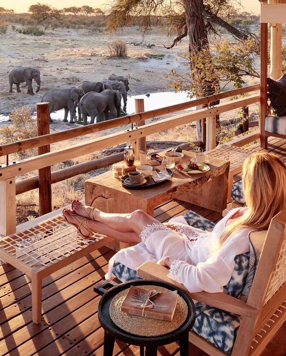 Linda Petrie tweet media