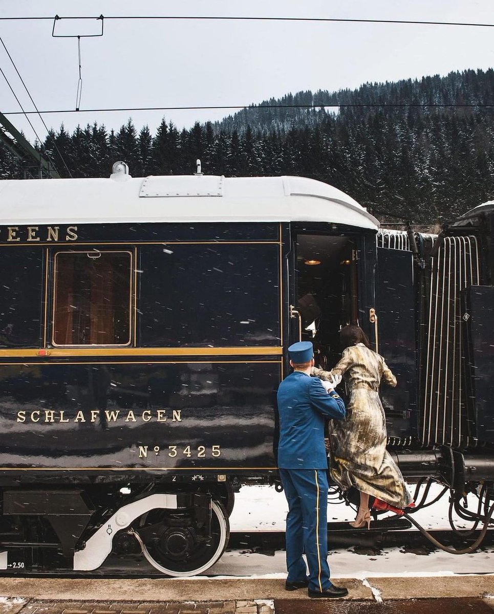 Linda Petrie tweet media