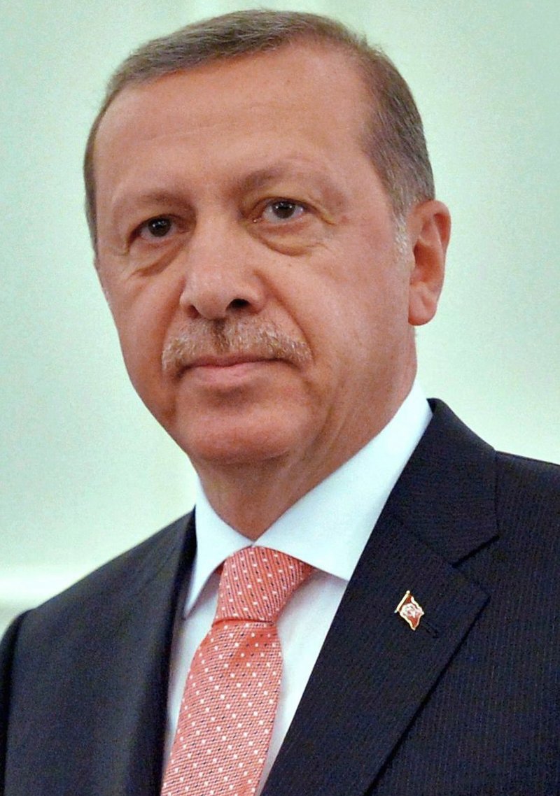 أحدهم سيطلق الرصاص.. "قاتل مأجور" وتهديدات لمَن ينتقد "أردوغان"!