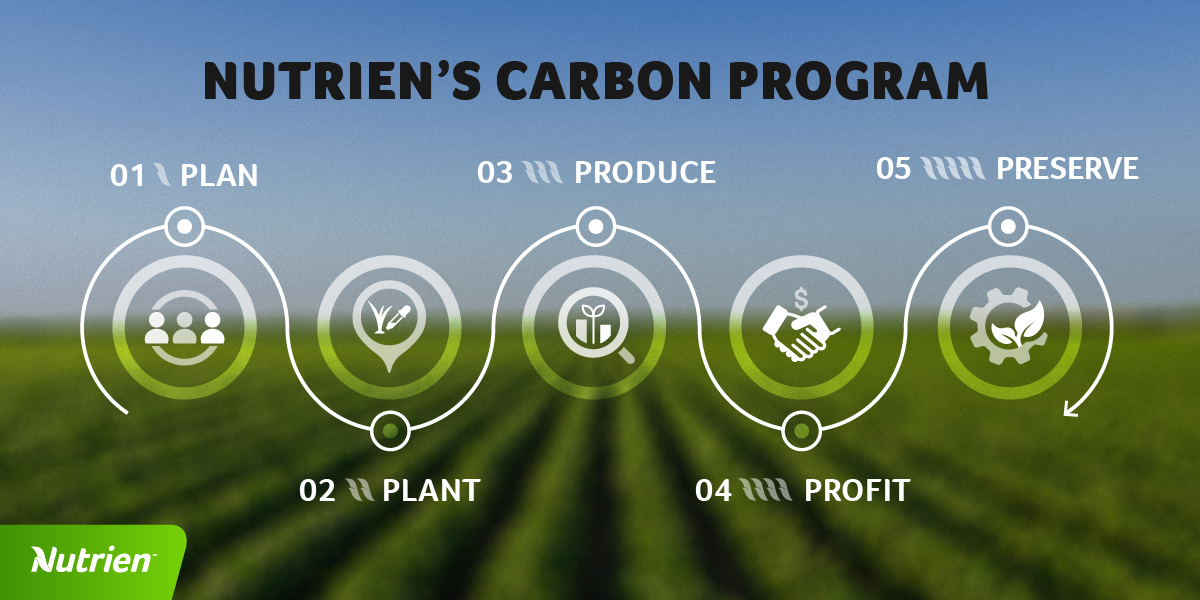 We're dedicated to raising the bar on what an agriculture company can do to make an impact on sustainable global food production.

That's why today, we're announcing our new carbon program.

Check out how it works and learn more at nutrien.com/carbon-program