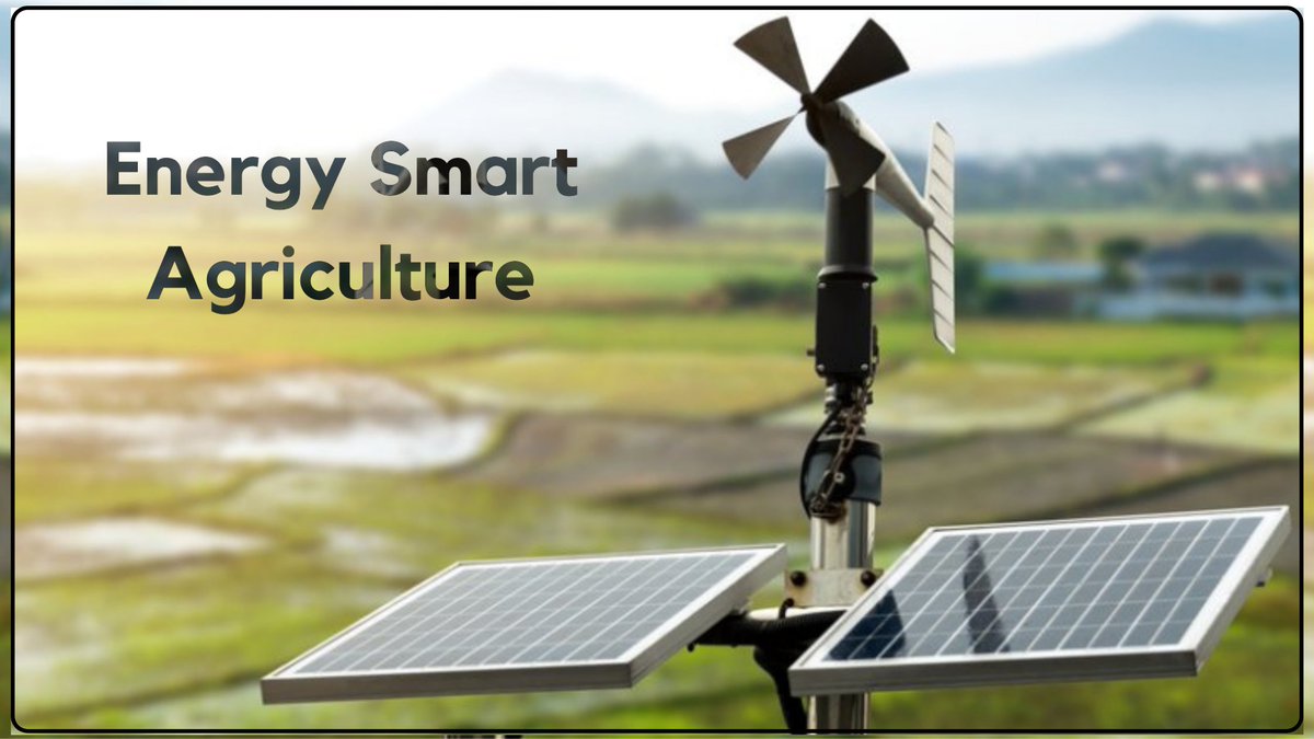 Agrojay_'s tweet photo. https://t.co/wRVyfx8Vfr
Energy is required in all means along the agri-food chain: in the creation of crops, fish, animals, and forestry service products; in post-harvest tasks; in food storage and handling; in food transport and distribution
@nashik_feed
 #agrojay #farmersmarket https://t.co/Sj1KYtbYrC