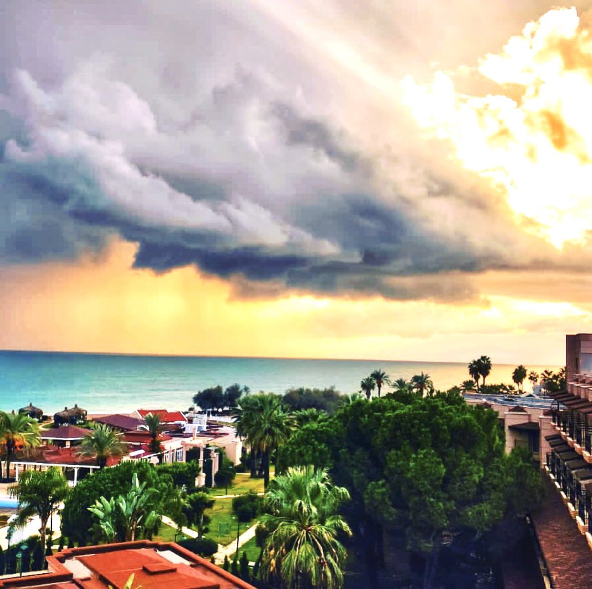 Crystal Hotels tweet media