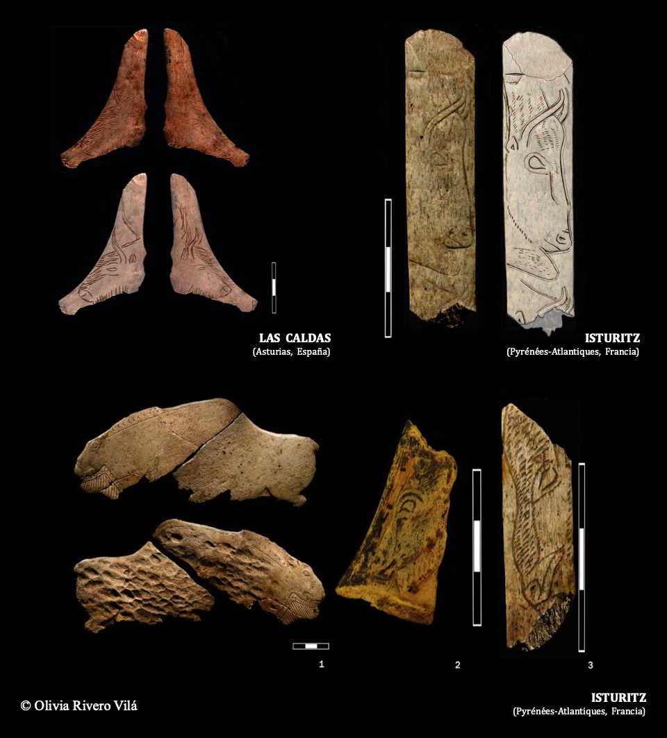 En el caso del arte mueble, estos despieces se centran en la cara, tratando de delinear  el morro, el ojo, el chaflán, la barba y la parte posterior de la giba. ¡Fijaos en estos bisontes tan detallados de Isturitz y Las Caldas! 