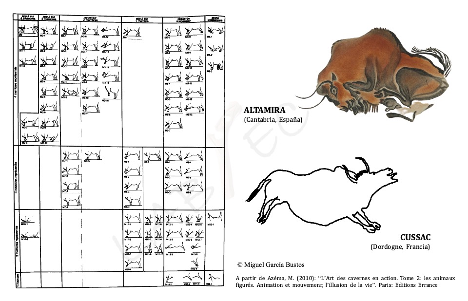 El estudio llevado a cabo por M. Azéma (2010)  indica que hasta un 46% de los bisontes de su corpus tienen animada alguna parte de su cuerpo. La cabeza (80,6%), la cola (63%) y las extremidades (43,3%) son las partes más frecuentes 