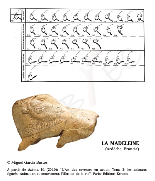 El estudio llevado a cabo por M. Azéma (2010)  indica que hasta un 46% de los bisontes de su corpus tienen animada alguna parte de su cuerpo. La cabeza (80,6%), la cola (63%) y las extremidades (43,3%) son las partes más frecuentes 