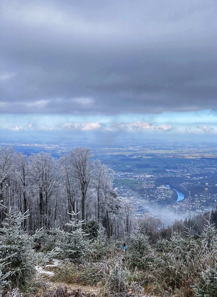 peakture's tweet photo. Winterboten

#frozen #frost #kalt #winter #cold #landscape #landscapephotography #fotografie #ice https://t.co/2Flq4ub5WC