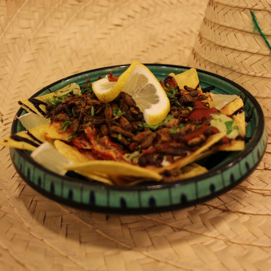 Party Bugs Mexican BBQ crickets with nachos and a slice of lemon.

¡Vamos de fiesta!

#eatingbugs #eatinginsects #eatinsects #edibleinsects #insektenessen #insektensnack #insectsnack #insectescomestibles #mangerdesinsectes  #partybugs #partybugssnacks #partysnacks#snackinsects