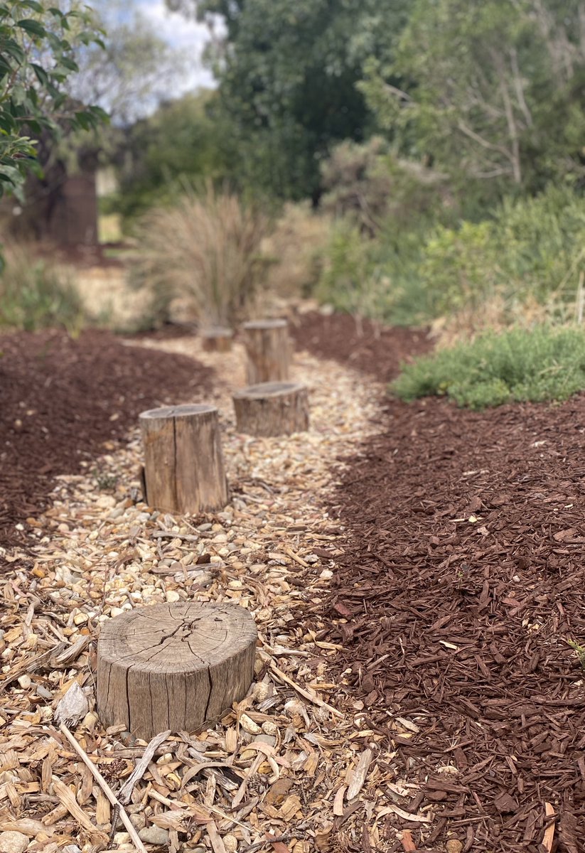 ProjReimaginate's tweet image. Our Secret Garden space might just be finished. Today we topped with brown mulch to contrast the pebbles and native plants. 

What’s next?

#ProjectReimaginate