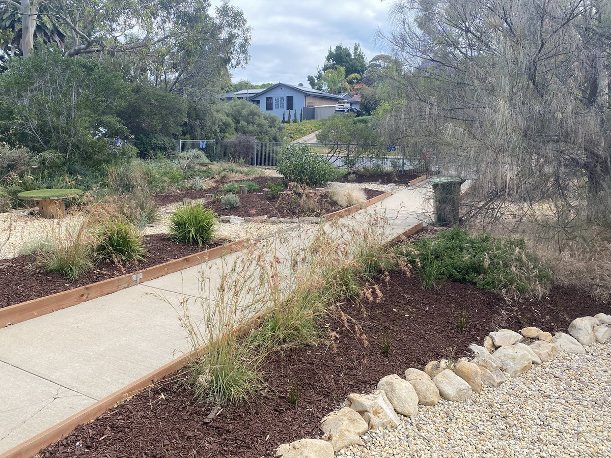 ProjReimaginate's tweet image. Our Secret Garden space might just be finished. Today we topped with brown mulch to contrast the pebbles and native plants. 

What’s next?

#ProjectReimaginate