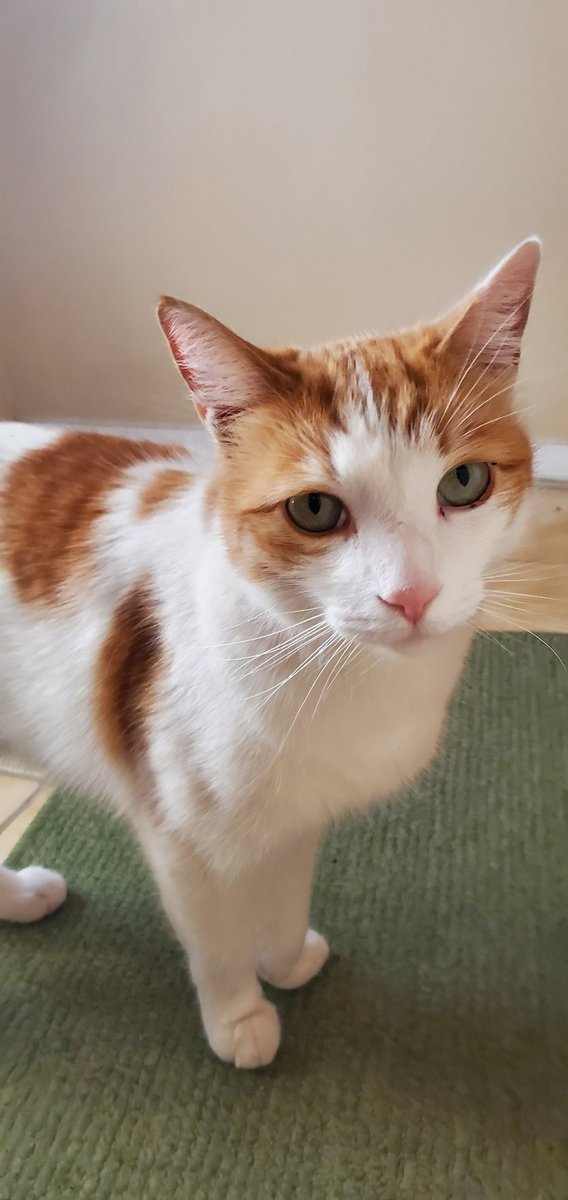 Hawt_dog (@hawtdog17) on Twitter photo 