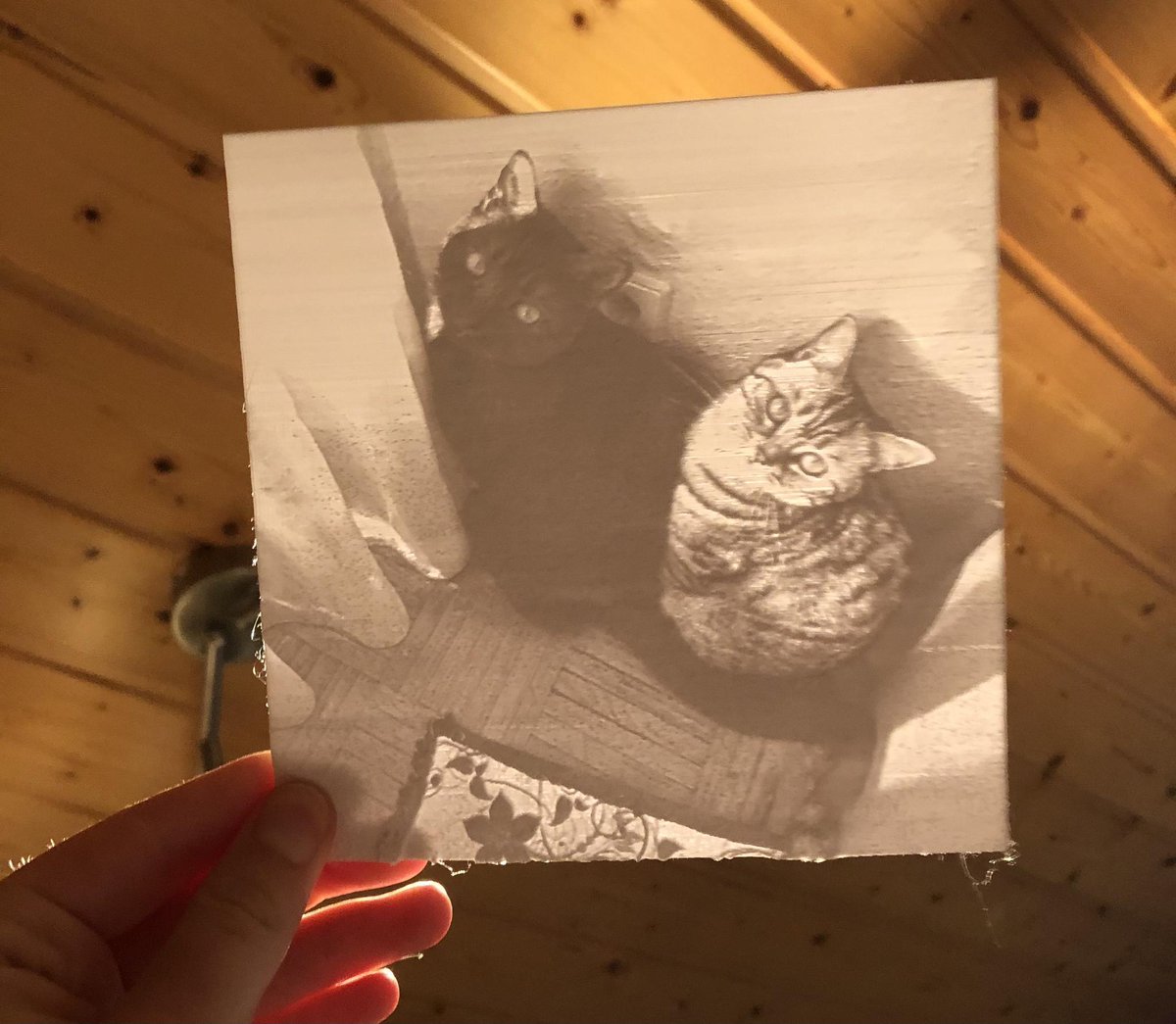 3DMeltdown's tweet photo. #3dprint post by Terso on our discord:
Join us: https://t.co/rj0z2L2EnV

prepping christmas gifts already - lithophane of two beautiful cats 🐈

Interested in #3Dprinting #3DPrinter ? join us on our discord server : https://t.co/SfaVtns9j3