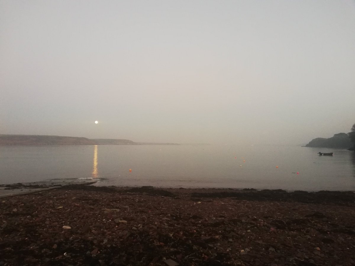 phoebebean's tweet photo. Beautiful late afternoon swim with the #blackrockcrew in #dale yesterday, thanks Sophie for photo 💙🖤 https://t.co/6Qh8rwys5m