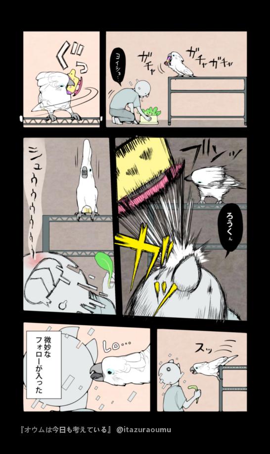 振りかぶって暴投!
#漫画 #オウムは今日も考えている 