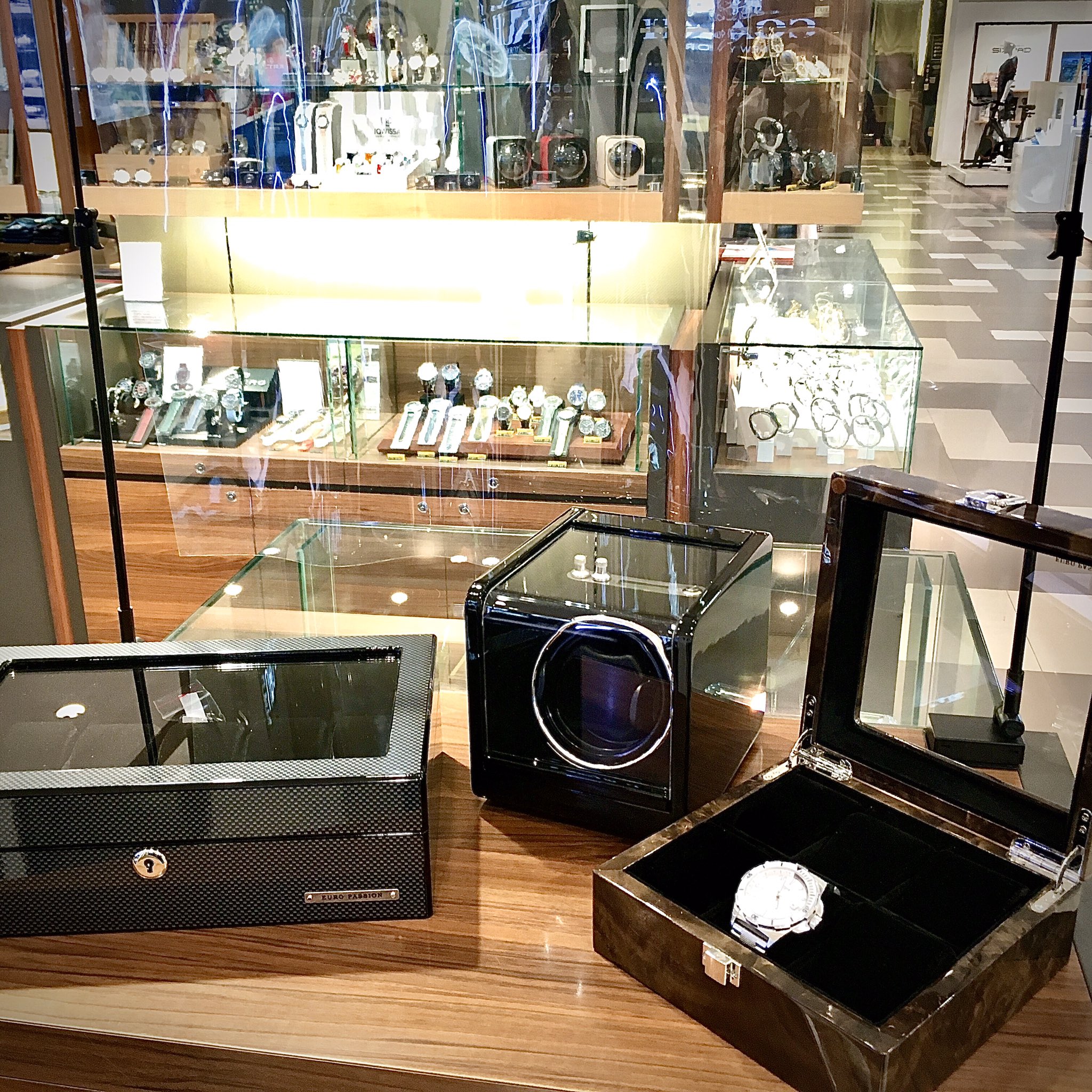 EURO PASSION ウォッチコレクションボックス 10本収納 時計ケース(EURO