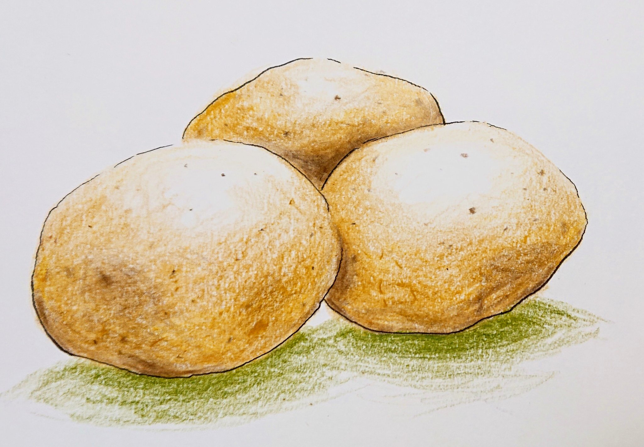 تويتر 雨色 على تويتر 練習に描いた野菜達です 色鉛筆画 デッサン イラスト 野菜 絵 T Co G6zzuieuh1