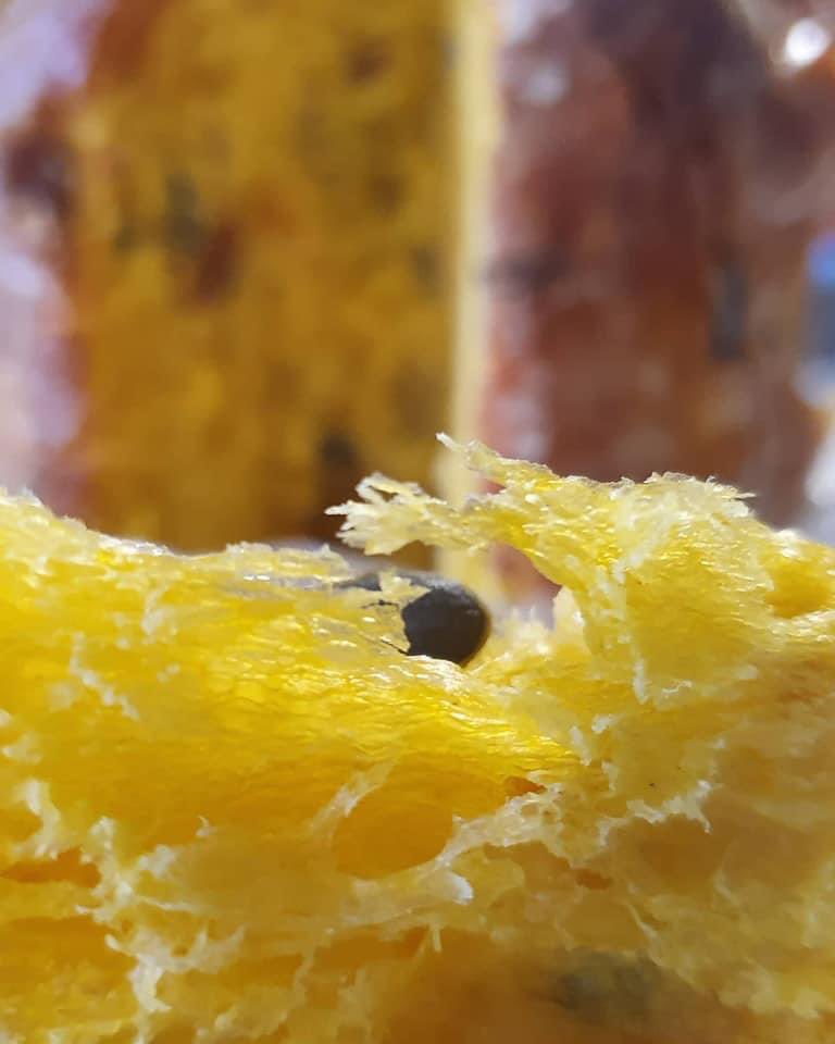 monpla_valencia's tweet photo. A quien no le gusta esta textura ??? #plapelmon #dulcedeviaje #monpla #equipoprofesional https://t.co/wjeB5ZgJsW