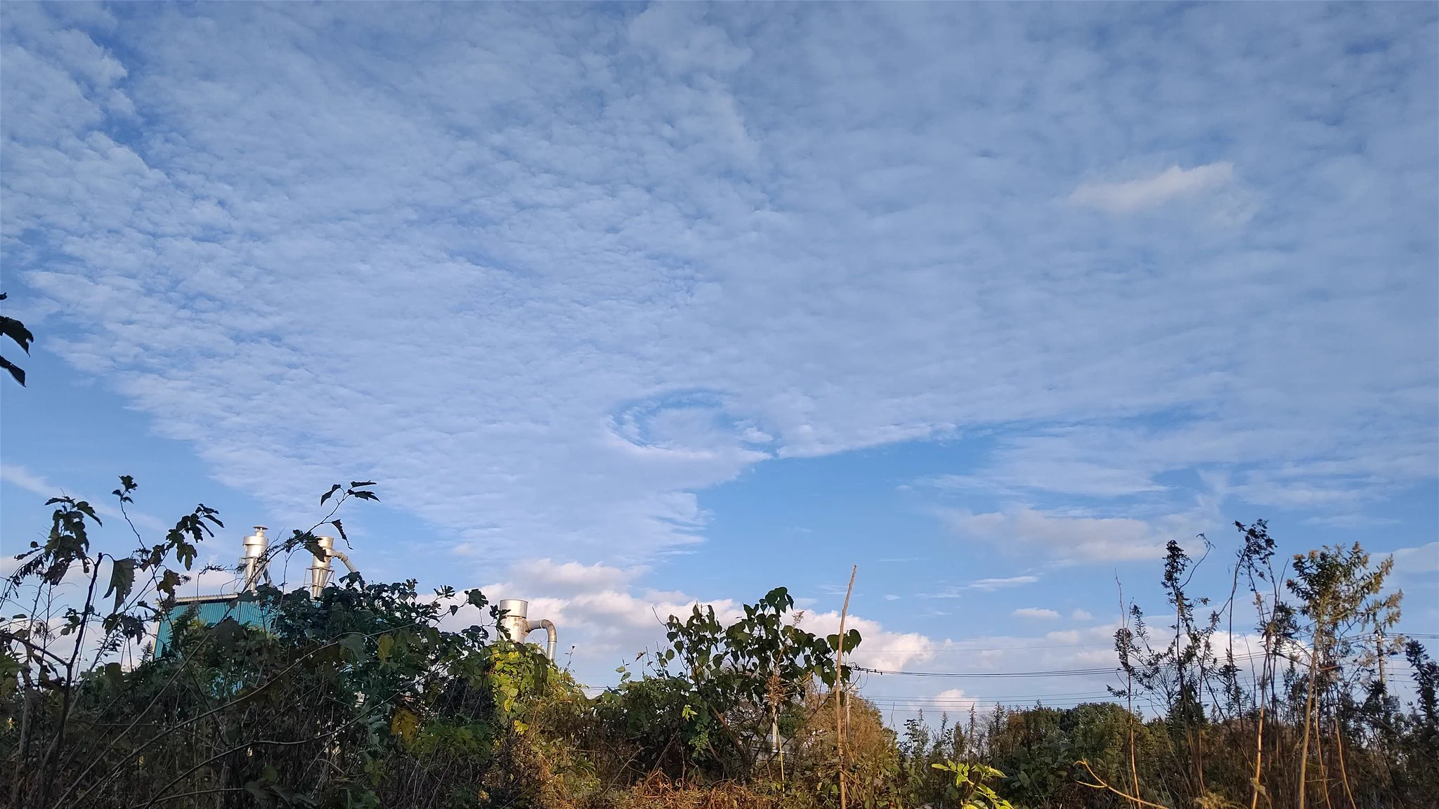 @wni_jp 千葉北西部にて 