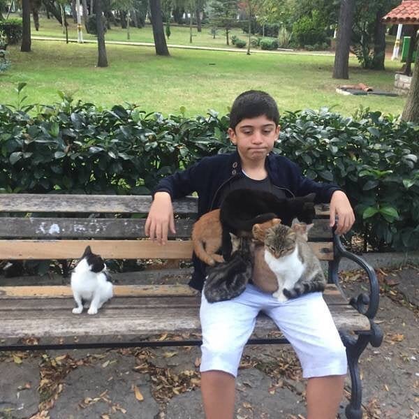 ShouldHaveCat's tweet photo. https://t.co/6VYq4KpqZh