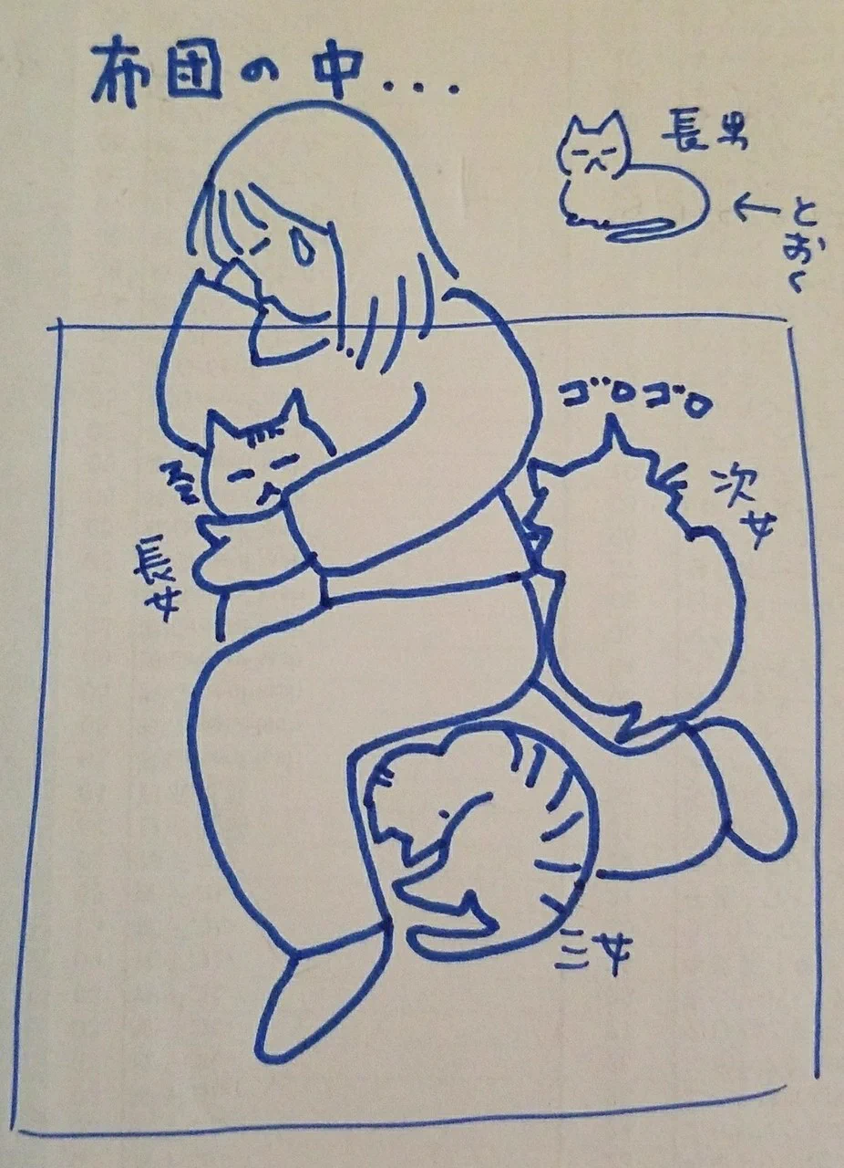 @kurosuke_neko @manpuku18 うちは猫同士が不仲なのでこうなります
(*´ω`*) 