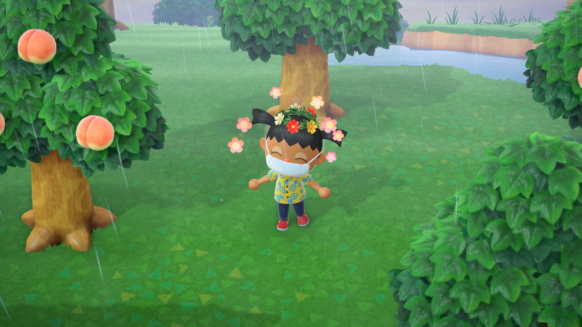 annisbach007's tweet photo. how it started                         how it's going  #AnimalCrossing #ACNH #NintendoSwitch https://t.co/siGIAuuqXB