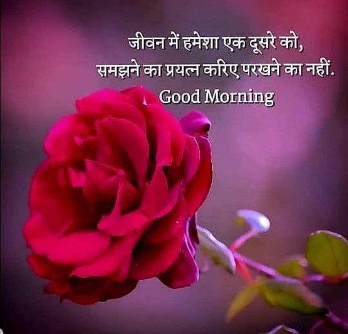 💞 SHALINI 💞🪔 शालिनी 🕉️ 💯% FB tweet media