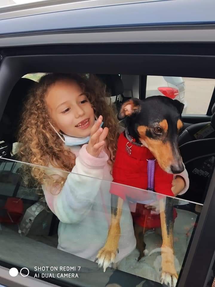 amor_animal015's tweet photo. Y así ha sido.Hoy se ha ido con su familia que ya la esperaba con emoción desde hacía varios días.
Otra más con un final feliz 😄.
#Seguimosconfuerza
#Vaaamooos https://t.co/H9KwJ9nVRt