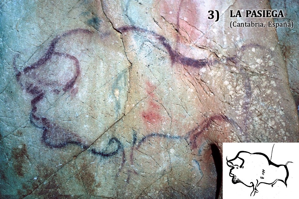 ¡Ahora es tu turno! Cada miembro del Labtec ha seleccionado su bisonte favorito, ¿cuál prefieres tú? También puedes dejarnos qué otros ejemplares son vuestros preferidos  