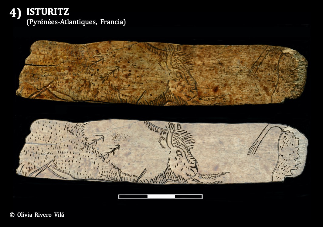 ¡Ahora es tu turno! Cada miembro del Labtec ha seleccionado su bisonte favorito, ¿cuál prefieres tú? También puedes dejarnos qué otros ejemplares son vuestros preferidos  