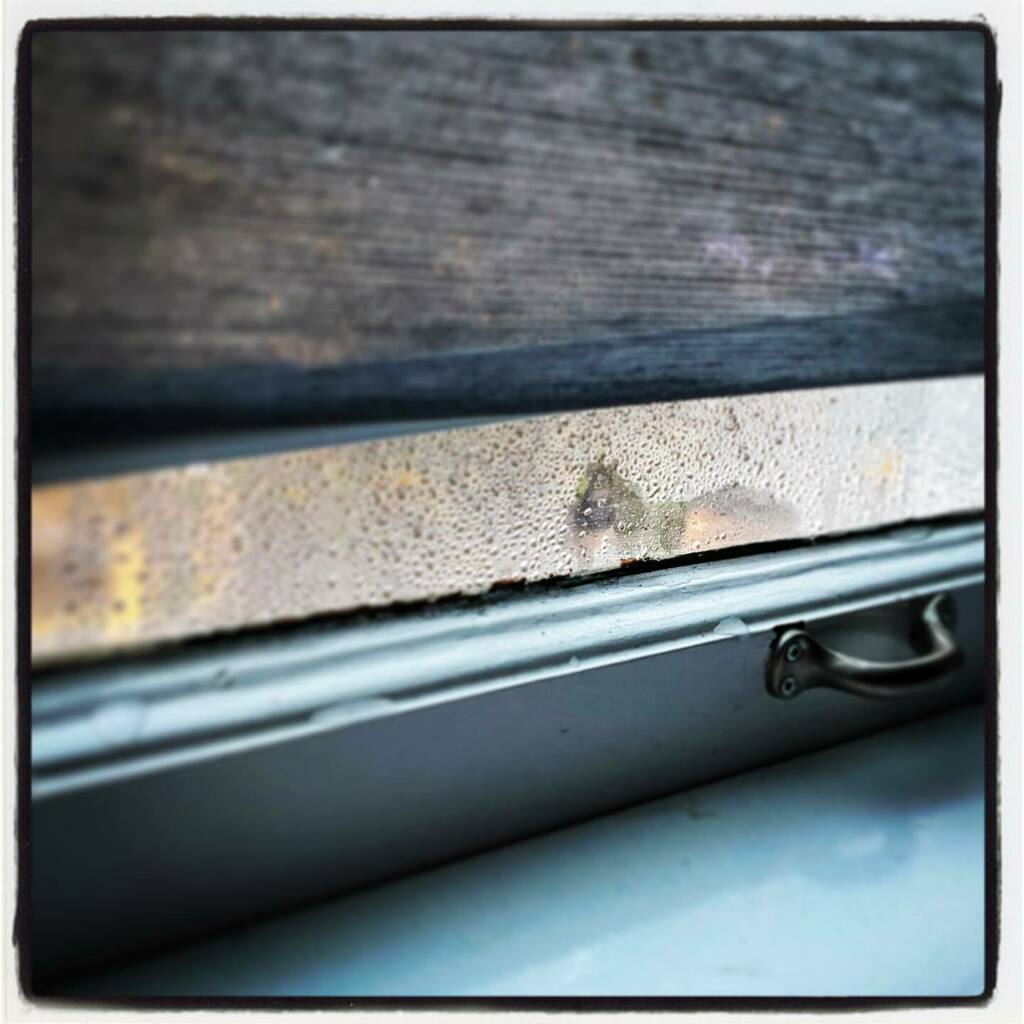 #iseehorses instagr.am/p/CINQ3Gtl5Xp/