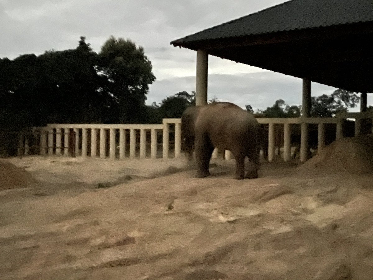 Neth Pheaktra tweet media