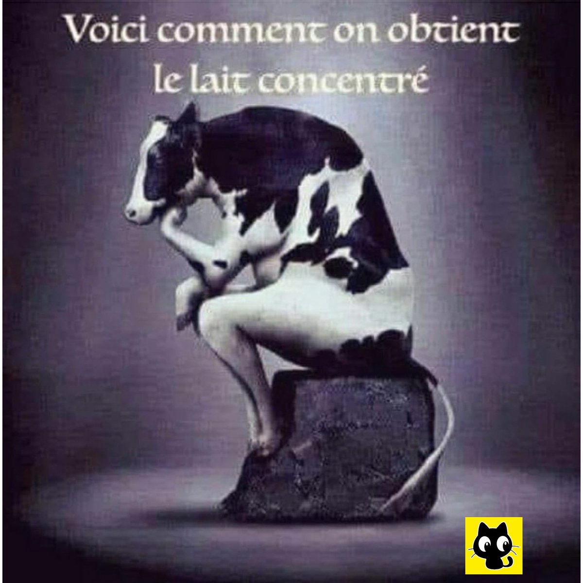 MinKommunity's tweet photo. Oh la vache! 🤣🤣🤣#gag #humour #culture #argentine #goat #foryou #foryourpage https://t.co/Dc3wNfWXDn