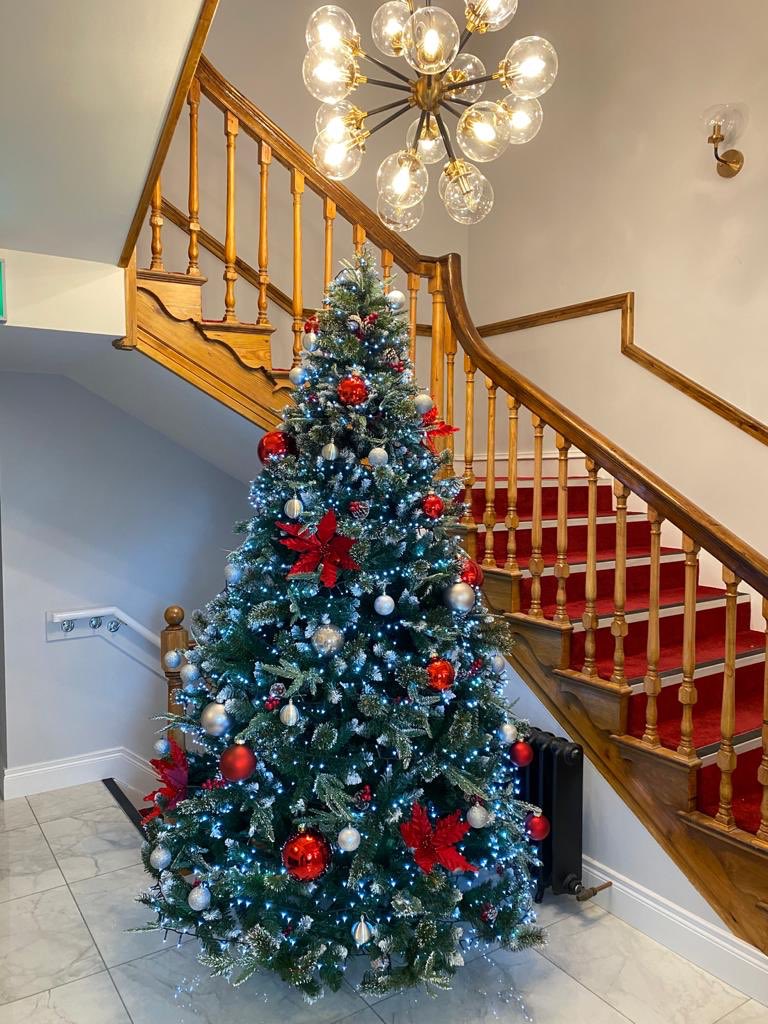 Christmas tree put up in new offices for the first time!