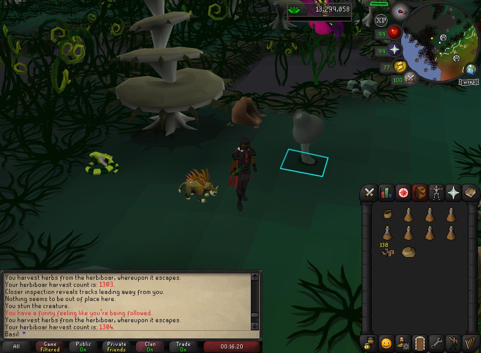 BasilOSRS's tweet photo. Pet #17 - Herbiboar, 1304 KC https://t.co/BGy2HajLVq