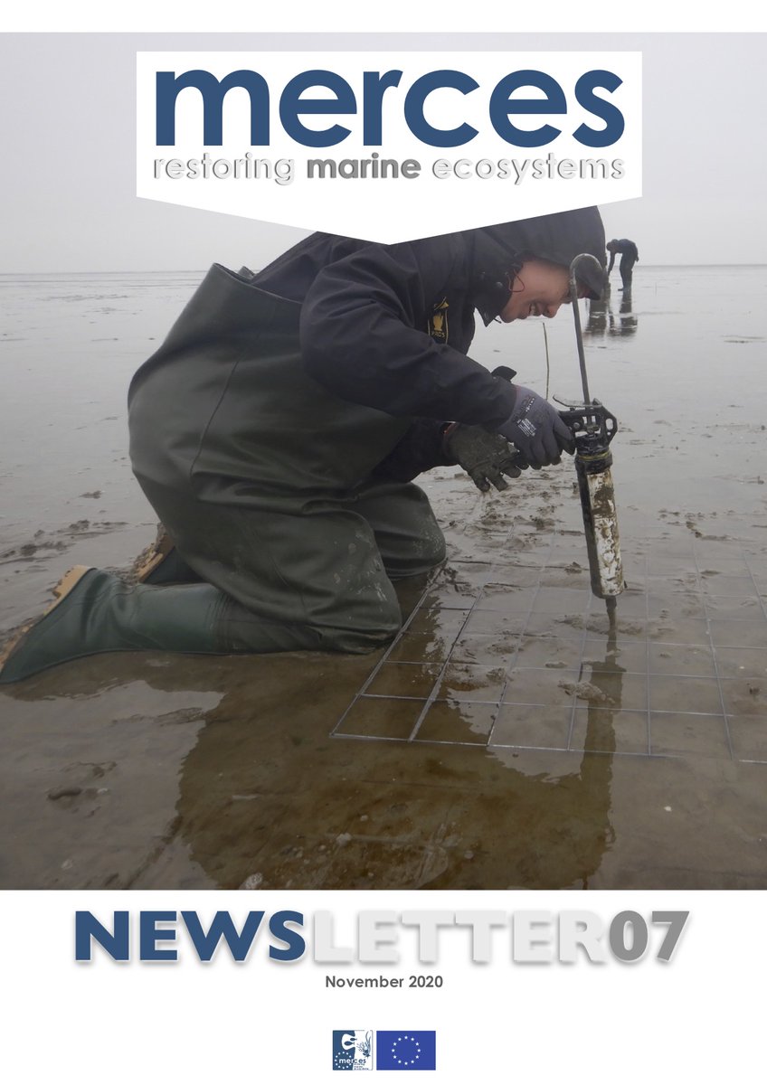 MERCES_eu tweet media