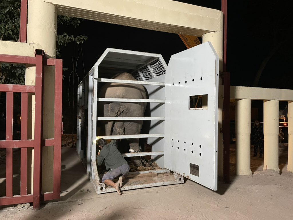 Neth Pheaktra tweet media