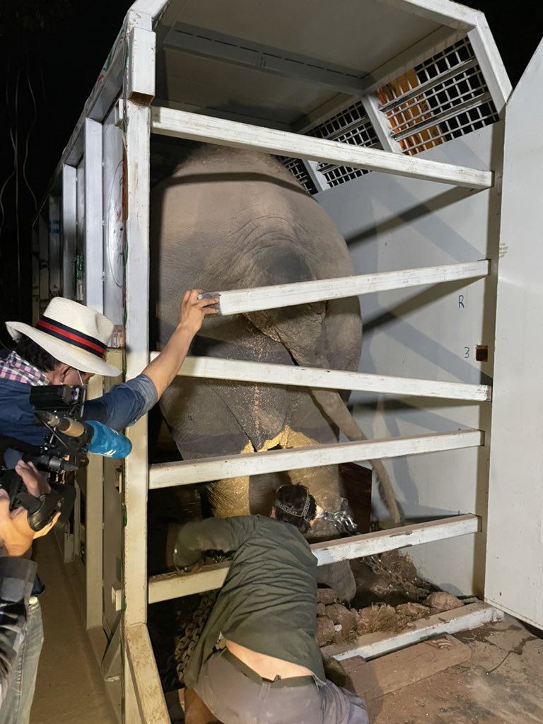 Neth Pheaktra tweet media