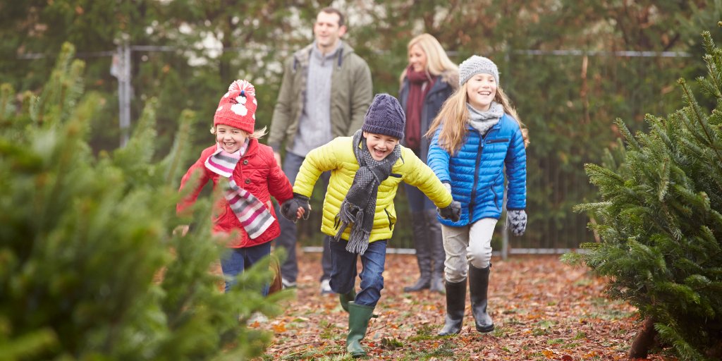We have produced an #outdoorlearning inspired #AdventCalendar full of activity ideas to help children, #schools and families get outside and engage with nature in the run up to #Christmas!

Download it here: bit.ly/3lesnba