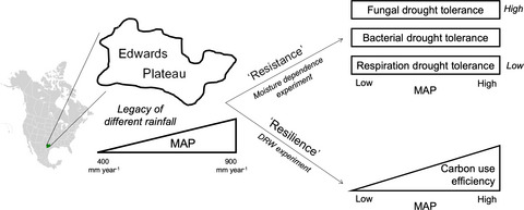 LetticeHicks's tweet image. Hot off the press: @ainaraleizeaga reveals how microbial community trait distributions related to moisture are shaped by a legacy of drought across a precipitation gradient #dryingrewetting #microbialcommunities #spectacular 
besjournals.onlinelibrary.wiley.com/doi/10.1111/13…