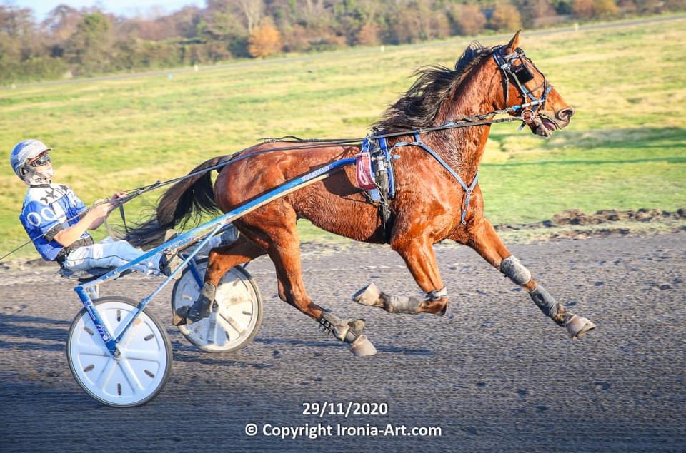IrishTrotting's tweet photo. Congratulations  to all those who had winners yesterday at @PortmarnockRWY! 

#IrishHarness #PortmarnockRaceway #IrishTrotter https://t.co/ikEVYUIVT7