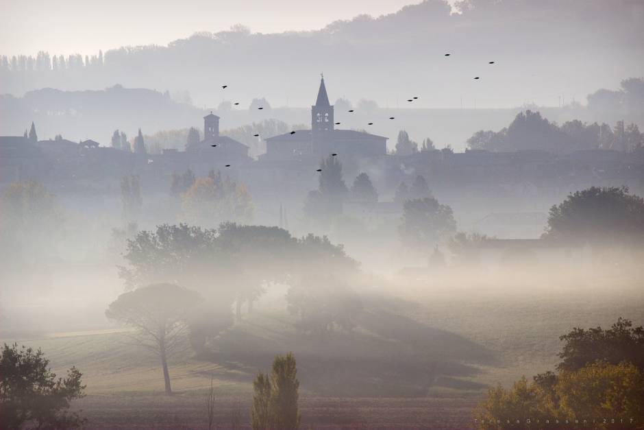 Museo di Bevagna tweet media