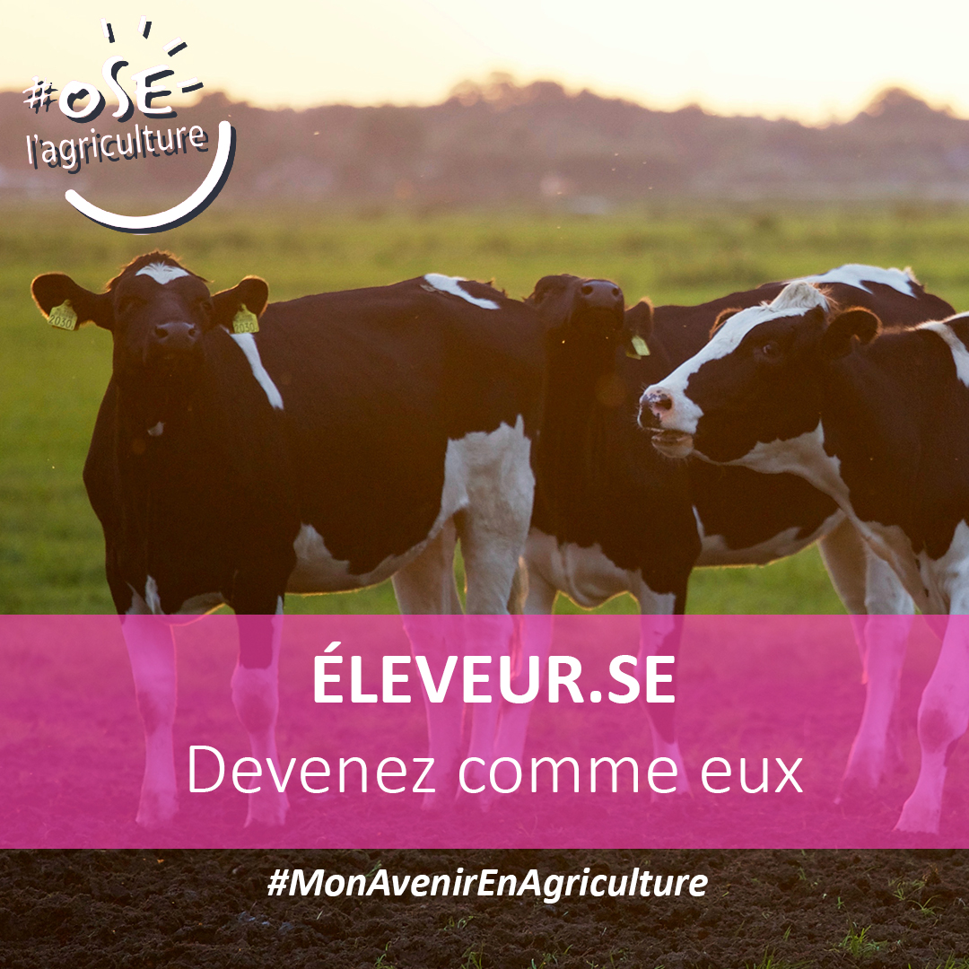 AnefaNa's tweet photo. Élever, c'est alimenter les animaux, mais pas seulement.✋

C'est aussi veiller à leur développement, les soigner et entretenir les locaux et les pâturages.😇 
Qu'il s'occupe de vaches, de porcs, de chèvres ou de volailles, l'éleveur peut vendre les animaux ou en prendre soin. https://t.co/JUoNJXP7Uv