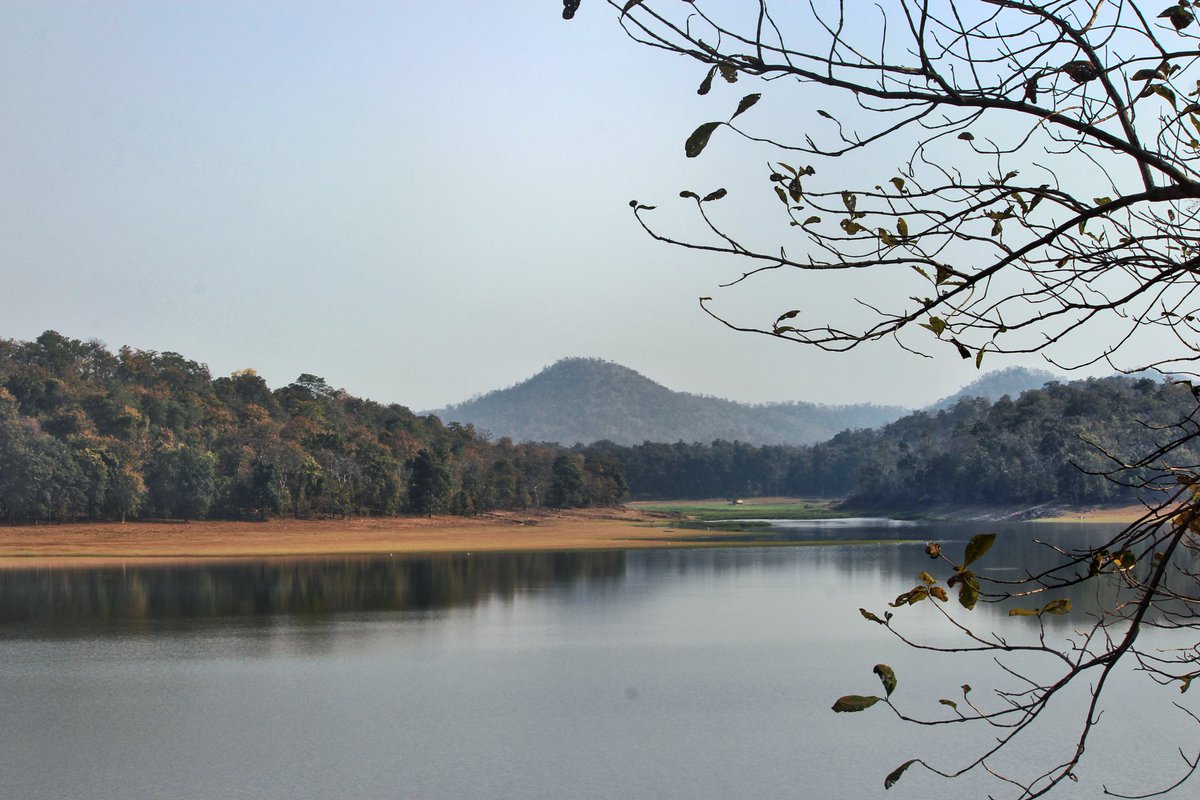 NShribhadri's tweet photo. #Nature has everything, from the dying tree to the all-embracing #Forrest. 
.
.
.
Shot on Canon 700d.
.
.
.
#enchantingriver #mistymountain #beautifullandscape #NaturePhotography #bodalkasa #vidarbha #gondiadistrict https://t.co/uhdwwGNxMf