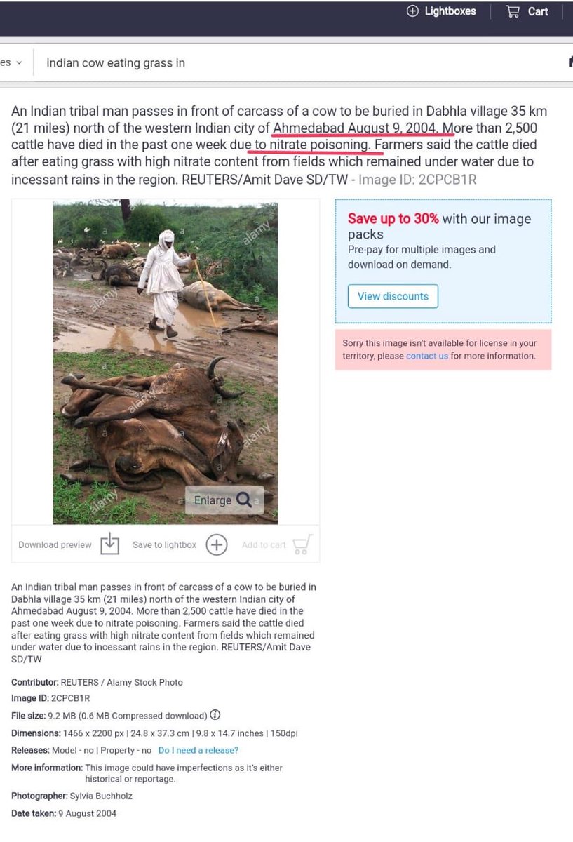 2- Using picture of 2004 to mock Gau Rakshak in 2016. In the picture in 2004 many cows had died to due to Nitrate poisoning but  @free_thinker using this pic in 2016 to mock Gau Rakshak.Archive-  https://archive.is/jIhjW 