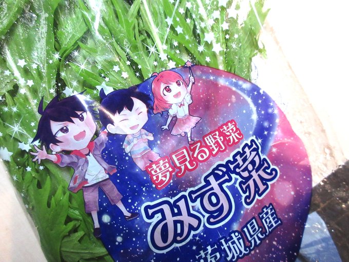 たまに見るこのみず菜。これがあったらラッキーだと思い込んでる 