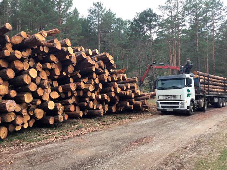 Aragón lidera la superficie forestal certificada PEFC en 2020 con más de 126.200 hectáreas gestionadas ow.ly/hia350CxNyn